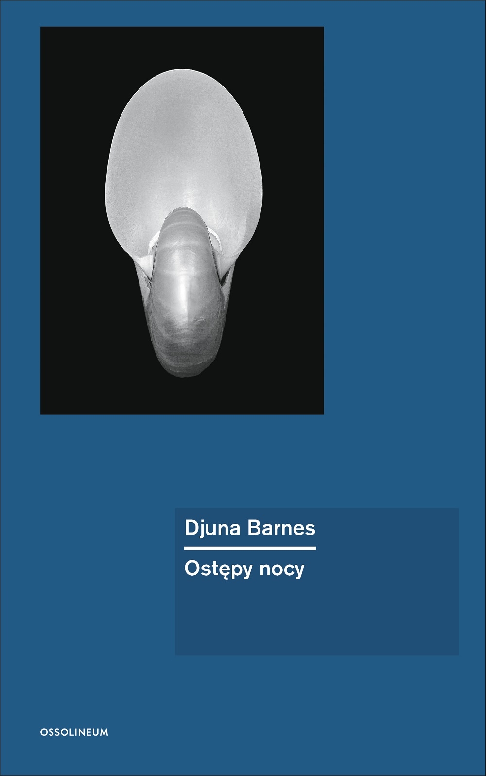 Djuna Barnes „Ostępy nocy” Djuna Barnes „Ostępy nocy”