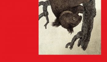 „Koala” Lukasa Bärfussa – powiastka filozoficzna