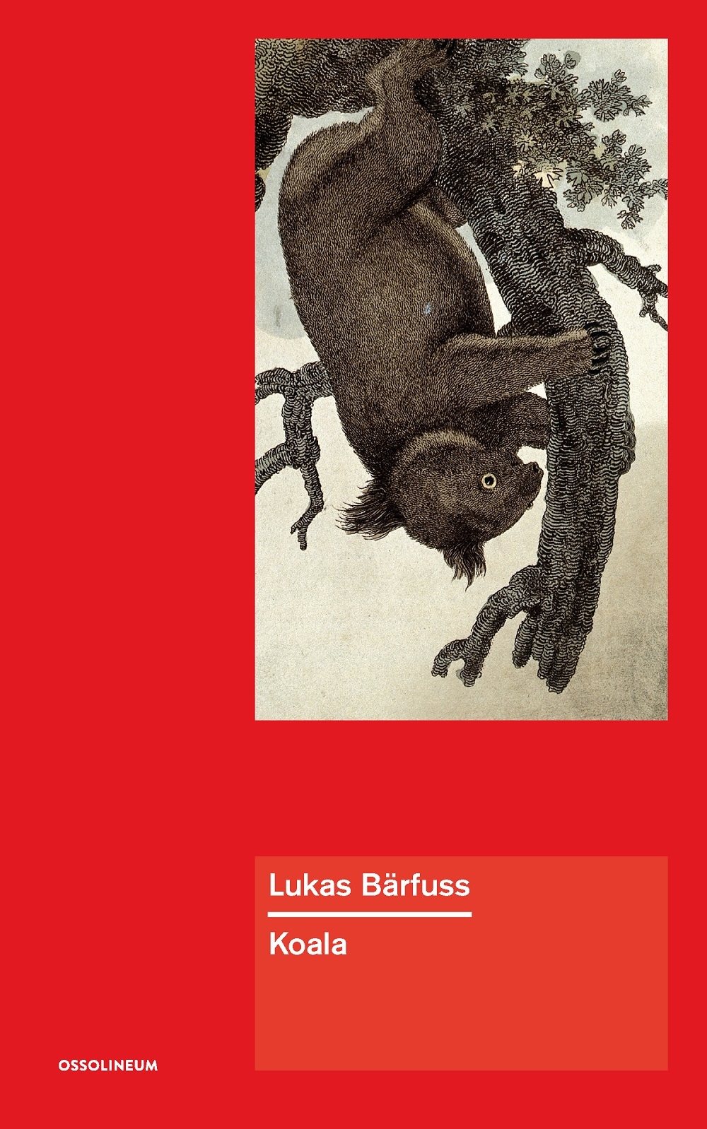 „Koala” Lukasa Bärfussa „Koala” Lukasa Bärfussa