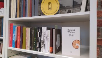 „Zbój” Roberta Walsera