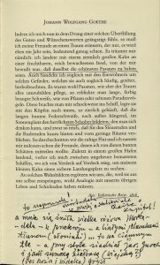 „Der Traum vom schönen Leben”, Hanser, Wiedeń 1982