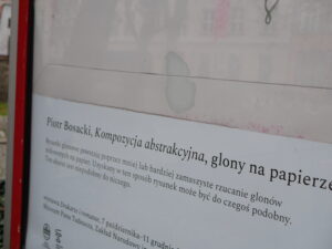 DiR Szewska Pasja